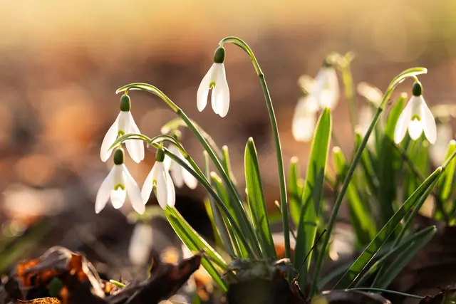 Es bleibt relativ warm, aber im Tagesverlauf könnte es auch Regen geben. (Symbolfoto) | Foto: dpa