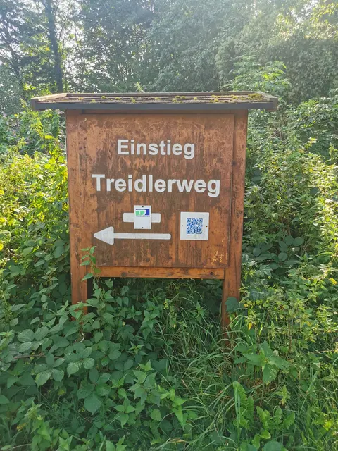 Auf dem Treidlerweg durch die Hördter Rheinauen | Foto: Heike Schwitalla