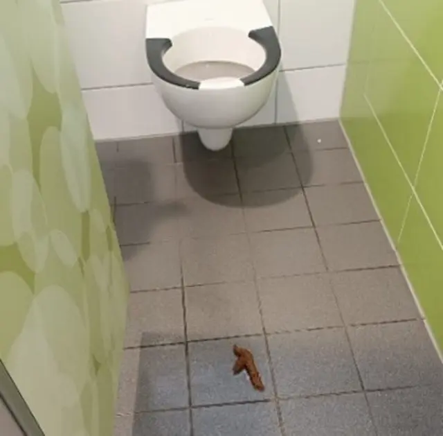 das ist kein Versehen: Toilette in der Grundschule Dorschberg | Foto: Stadt Wörth/Grundschule Dorschberg