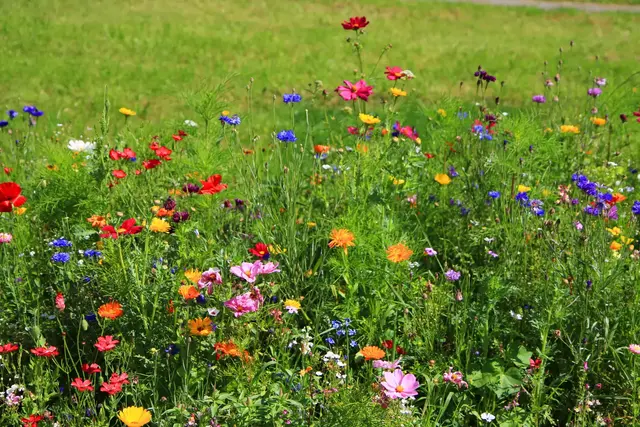 Beim Frühjahrsstart im Garten helfen einfache Naturgarten-Prinzipien, damit Kräuter und Gemüse gut wachsen und Schnecken ohne Gift weniger Schaden anrichten. | Foto: jonnysek/stock.adobe.com