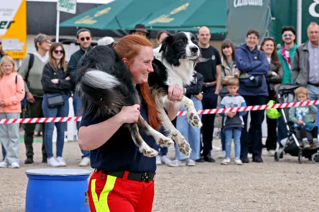 Hundeshow | Foto: MAG