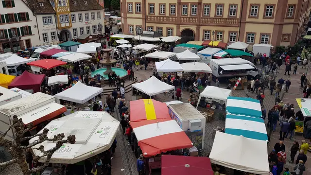 Der Frühlingsmarkt verwandelt den historischen Marktplatz von Neustadt an der Weinstraße in eine lebendige Marktlandschaft mit regionalen Produkten und Handwerksartikeln. | Foto: Eva Bender