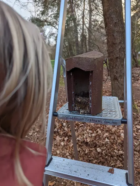 So sieht ein leerer Nistkasten aus | Foto: Hannes Bremel