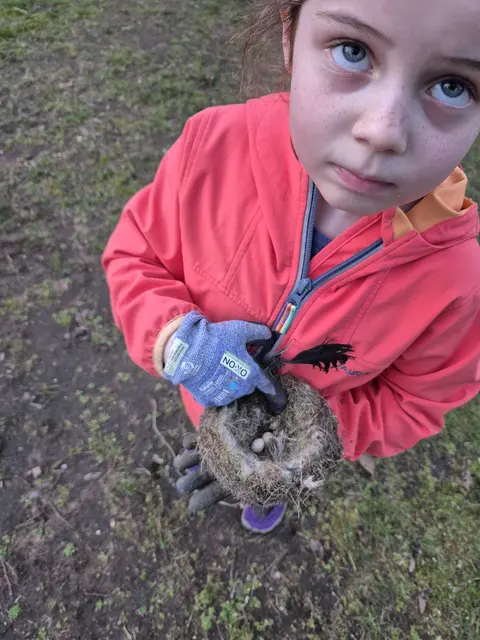 Hier ist leider nicht lange genug gebrütet worden | Foto: Jochen Weidig