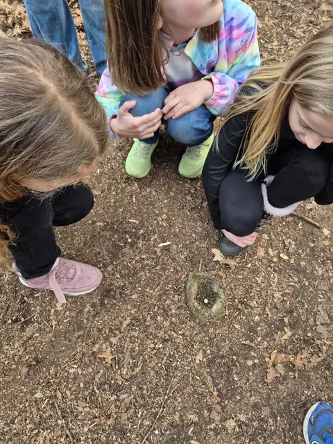 Ein kleines Meisennest mit Vogelei | Foto: Jochen Weidig