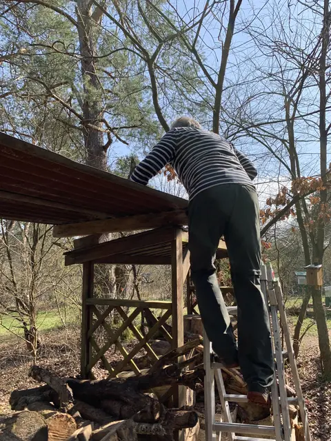 Das Dach über dem Holzlagerplatz schützt vor Regen | Foto: Peter Krietemeyer