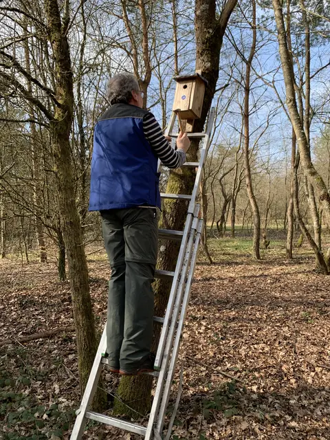 Eines der Dienstags Heinzelmännchen beim Aufhängen eines weiteren Nistkastens | Foto: Peter Krietemeyer