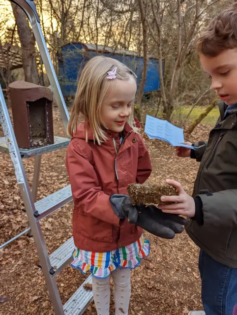 Ein Nest wird geborgen und katalogisiert | Foto: Hannes Bremel