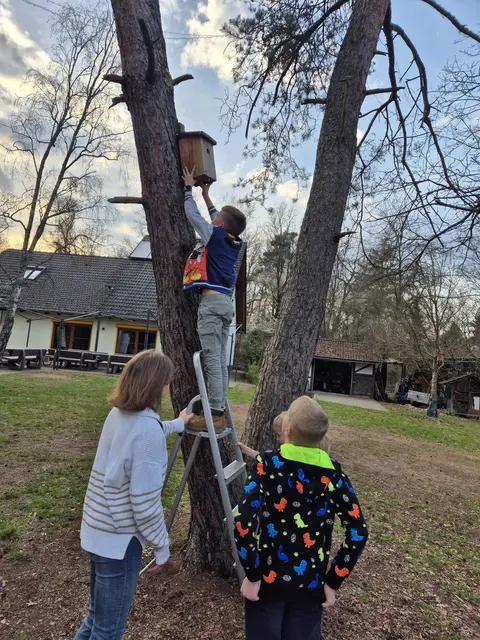 Auch die Wölflinge stiegen auf die Leiter hinauf | Foto: Jochen Weidig