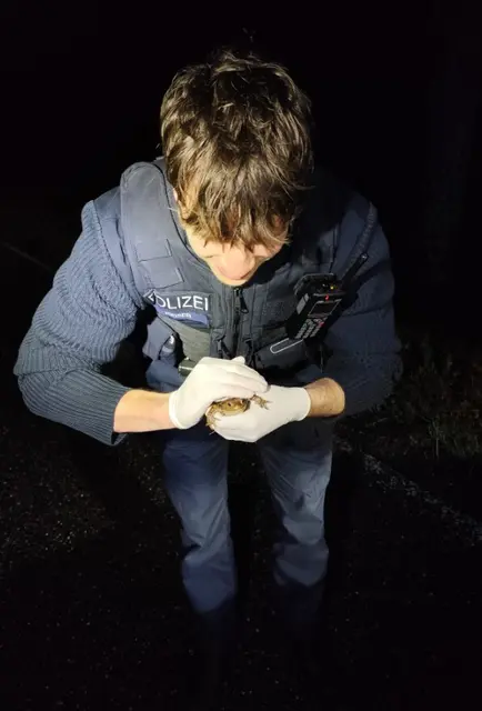 Amphibienwanderung: Polizei schützt Kröten auf Totenkopfstraße | Foto: Polizeidirektion Landau