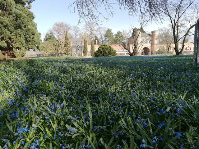 Blick auf die Anlage | Foto: Thomas Huber/SSG