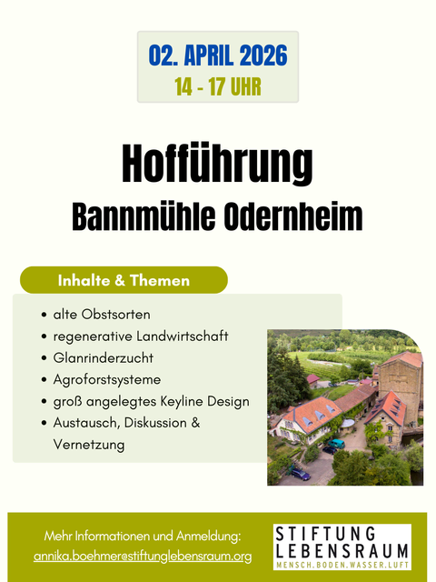 Foto: Annika Böhmer