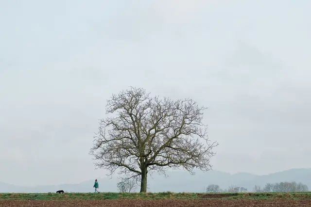 Wolken, trüber Himmel und Regen bestimmen das Wochenendwetter. | Foto: dpa