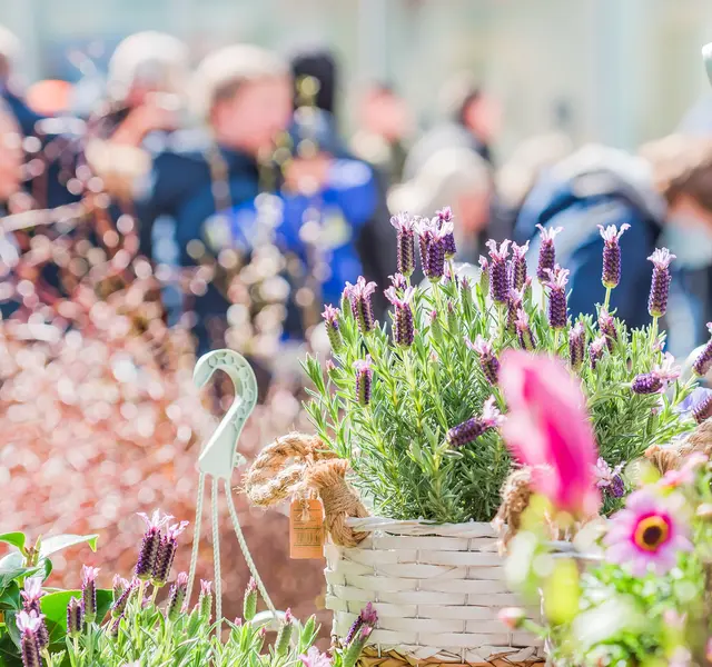 Frühlingshafte Marktstände machen den Besuch in der Kaiserslauterer Innenstadt zu einem besonderen Erlebnis | Foto: Stadt Kaiserslautern/gratis