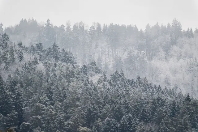Nach den sonnigen Tagen stellt sich wieder Winterwetter ein. (Archivbild)  | Foto: dpa
