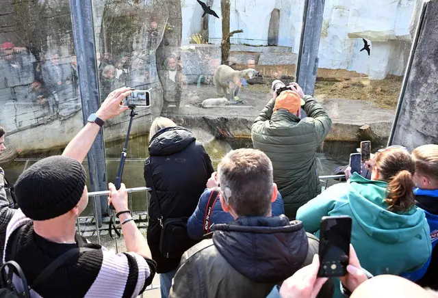 Im Karlsruher Zoo wurde in der Nacht Müll in etliche Gehege geworfen. (Archivbild) | Foto: dpa