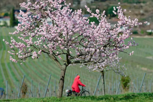 Regenjacke oder Regenschirm sollte man in den nächsten Tagen bereithalten. (Symbolbild) | Foto: dpa