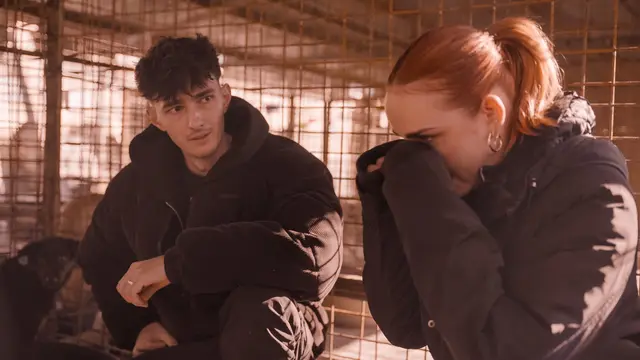 „Die Hunde-Mafia“ (ProSieben / Joyn). | Foto: ProSieben, Foto: ProSieben