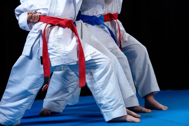 Karate (Symbolbild) | Foto: FS-Stock/stock.adobe.com