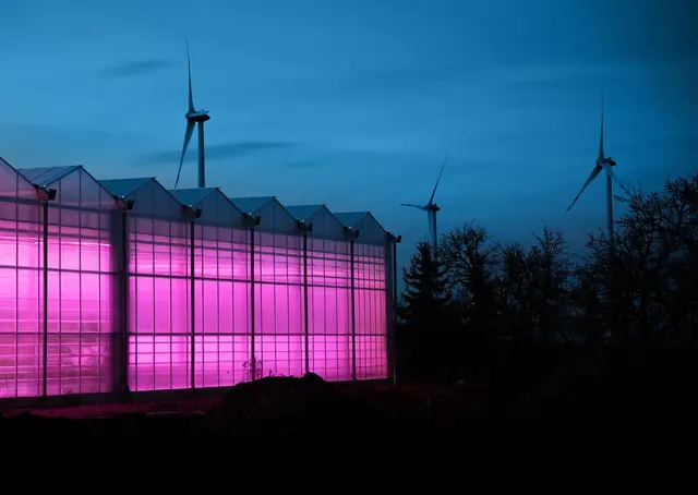 Deutschlands modernstes Gewächshaus mit direkter Strom- und Windversorgung | Foto: WiFood Center  GmbH &amp; Co. KG/gratis