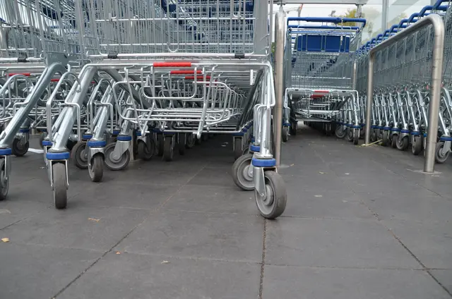 Produktrückruf bei Rewe: Dieses Gemüseprodukt kann Kunststoffteile oder Holzsplitter enthalten | Foto: bierwirm/stock.adobe.com