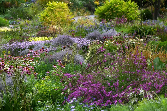 So farbenfroh und lebendig werden die Staudenpflanzungen auch auf dem Gartenschaugelände im Gartenschaujahr aussehen. | Foto: Harald Sauer