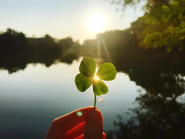 Foto: Artistic Memory/stock.adobe.com