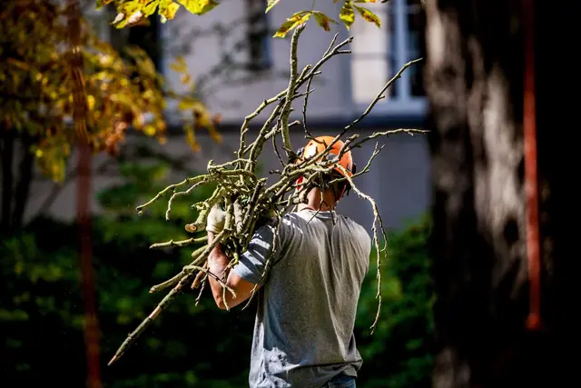 Profi für die Gartenarbeiten engagiert? Dann sollten zumindest Teile der Kosten steuerlich absetzbar sein. (zu dpa: «Mit Gartenpflege vom Profi bis zu 4.000 Euro pro Jahr sparen») | Foto: dpa