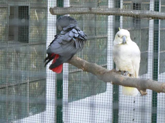 Foto: Gunter Bohrer