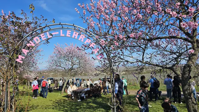 Der Mandel-Lehrpfad | Foto: Eva Bender