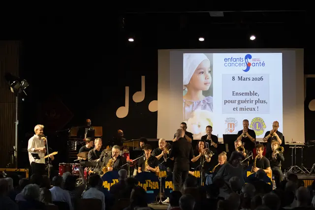 Palatina Benefizorchesters unter der Leitung von Thomas Winter | Foto: Heiko Bouquet