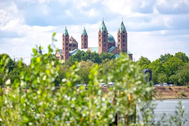 Landtagswahl 2026: Das sind die Ergebnisse für den Wahlkreis Speyer | Foto: Thorsten Assfalg/stock.adobe.com
