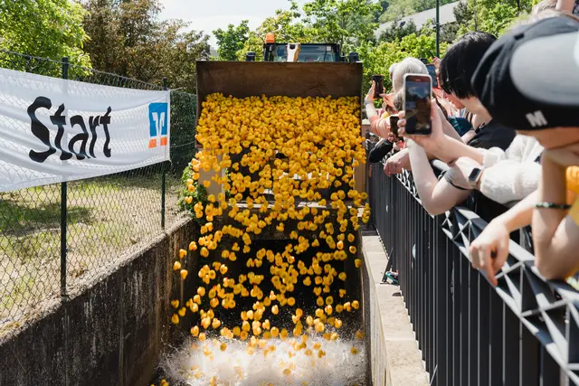 Am 14. Mai ist es wieder soweit: Das beliebte Entenwettschwimmen auf der Isenach lädt zum Teilnehmen, Zuschauen und Mitfiebern ein.
 | Foto: Vassilios Chorozidis