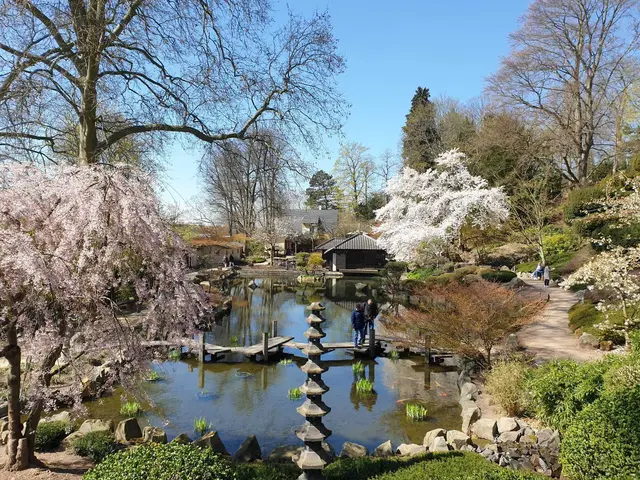 Tausende Kirschblüten verwandeln den Garten in ein spektakuläres Frühlingsparadies | Foto: Thorsten Barthelmie/gratis