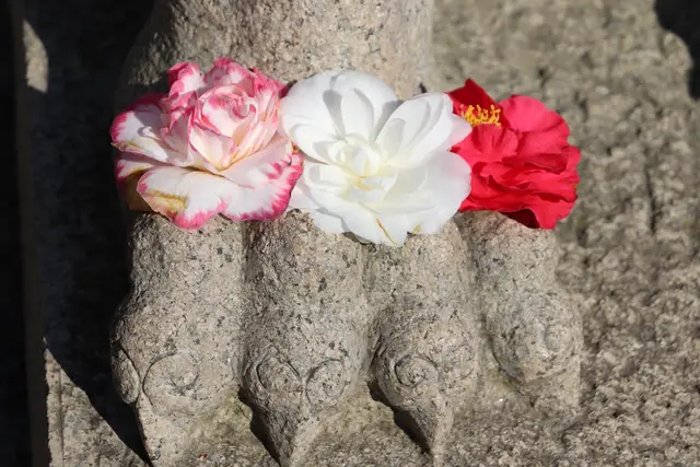 Bilder 1 | Foto: Alexandra Wind