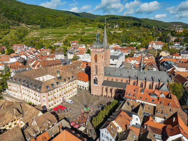 Das Rathaus und der Marktplatz in Neustadt an der Weinstraße bilden das Zentrum des Wahlkreises 43. Die Ergebnisse für Neustadt an der Weinstraße, Deidesheim und Haßloch sind ab 18 Uhr hier nachzulesen. | Foto: CC-BY Pfalz Touristik, Fachenbach