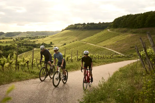Zwischen GA1, Sweet Spot und Frühjahrsklassiker-Gefühl: Perfekte Aussicht am Zweifelberg  | Foto: Tourimia Tourismus GmbH | Stefan Leitner Photography