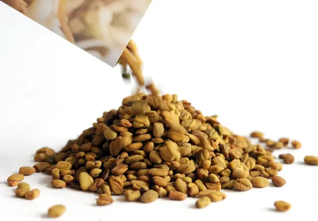 Traditionelle Verwendung: Neben der Küche spielt Bockshornklee auch in der Medizin eine Rolle und wird seit Jahrhunderten als Heilpflanze geschätzt. | Foto: dpa