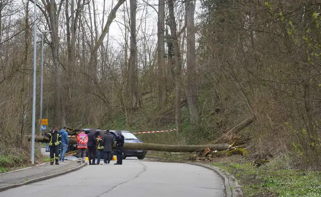 Der Fahrer starb noch an der Unfallstelle an seinen schweren Verletzungen. | Foto: dpa