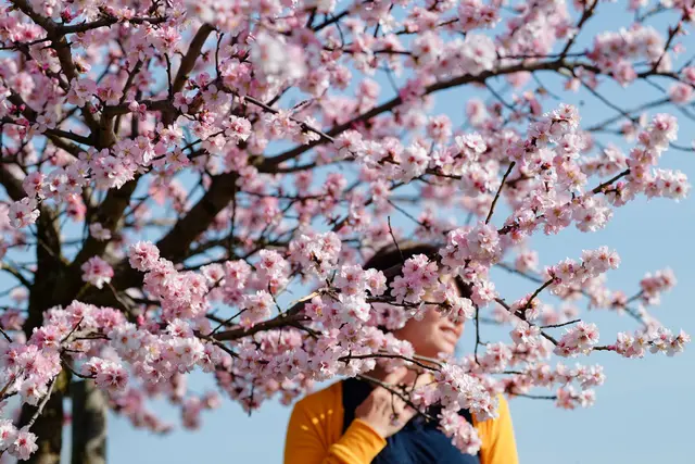 Am Wochenende bleibt es weitestgehend sonnig. | Foto: dpa
