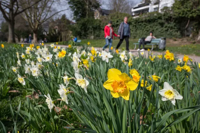 Vor allem am Sonntag lädt sonniges und mildes Wetter zu Spaziergängen und Ausflügen ein. (Foto Archiv)  | Foto: dpa