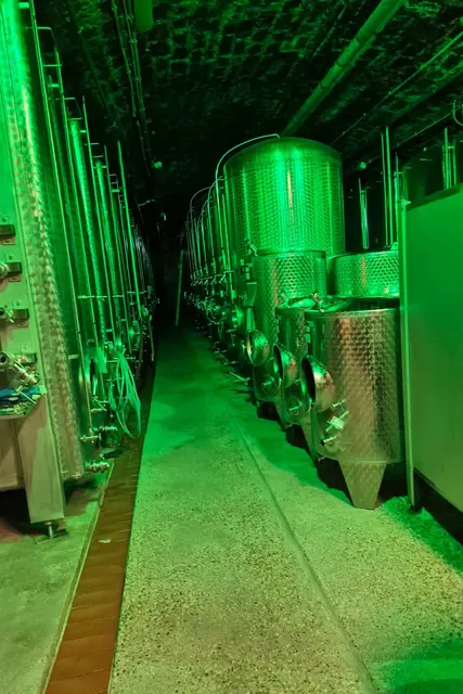 Foto: Martina Stepper