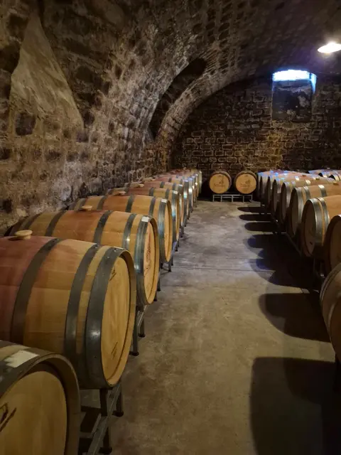 Foto: Martina Stepper