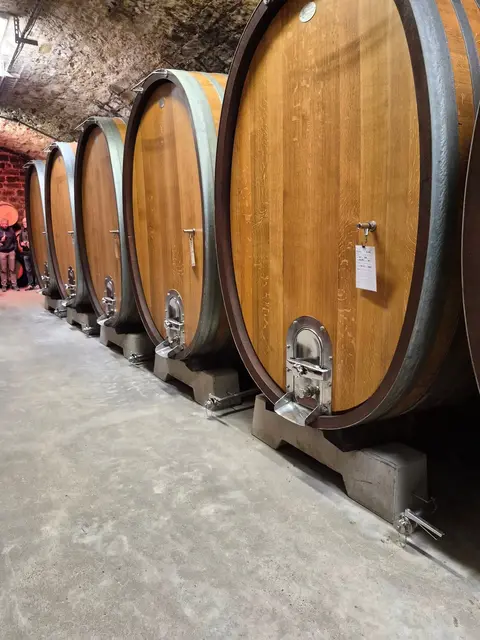 Foto: Martina Stepper