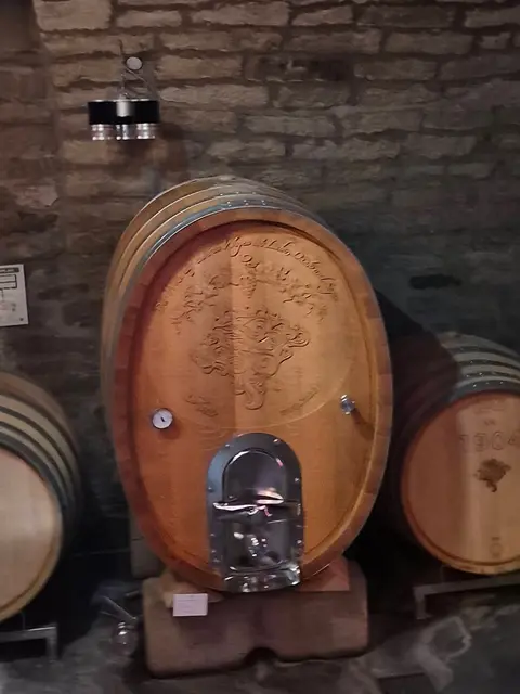 Foto: Martina Stepper