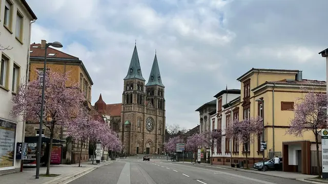 Landtagswahl 2026 in Landau: Die Ergebnisse sind ab 18 Uhr zu erwarten | Foto: Katharina Schmitt
