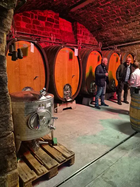 Foto: Martina Stepper