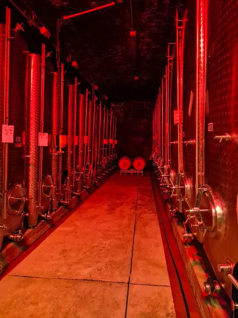 Foto: Martina Stepper