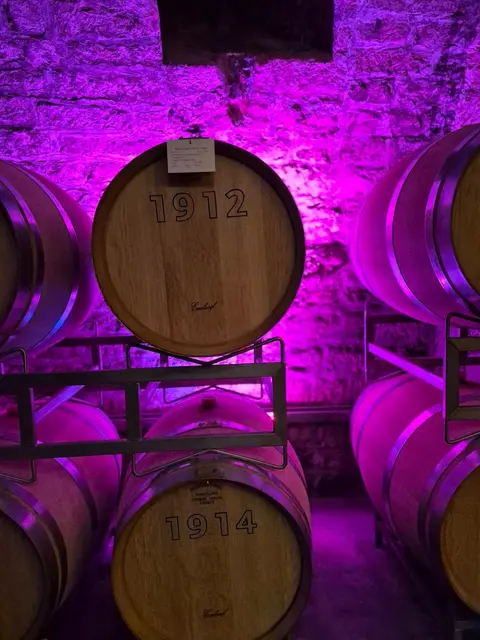 Foto: Martina Stepper