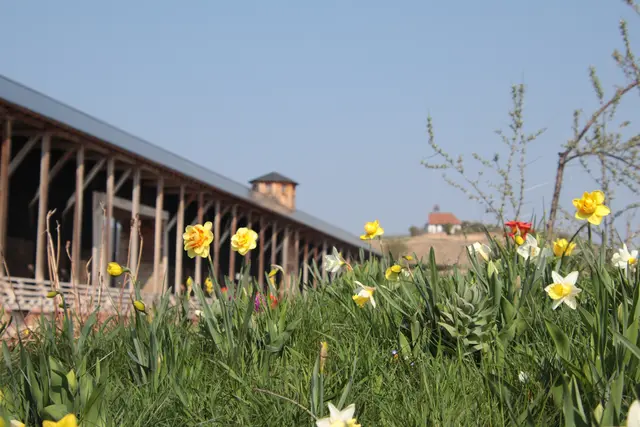 Ostern 2026 in der Pfalz: Mit diesen 9 Ausflugstipps für Familien, Naturfreunde und Genießer werden die Osterfeiertage unvergesslich | Foto: Franz Walter Mappes